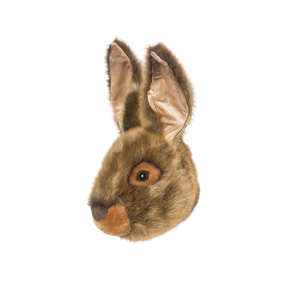 Lewis the hare