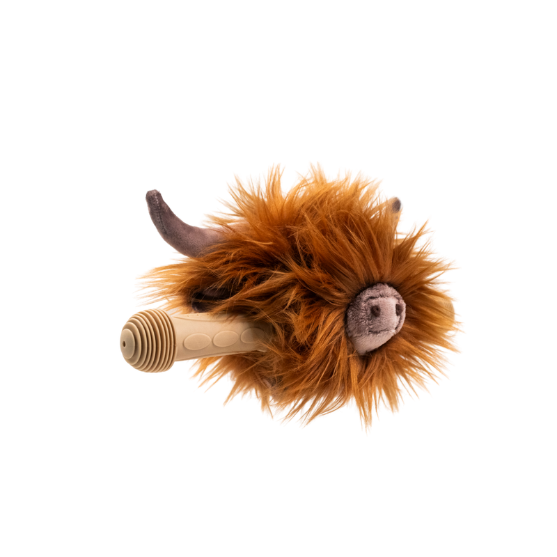 Highland cow Scooter Head