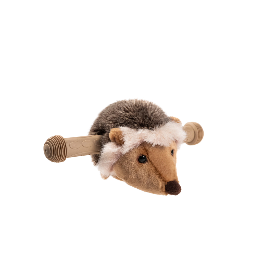 Hedgehog Scooter Head