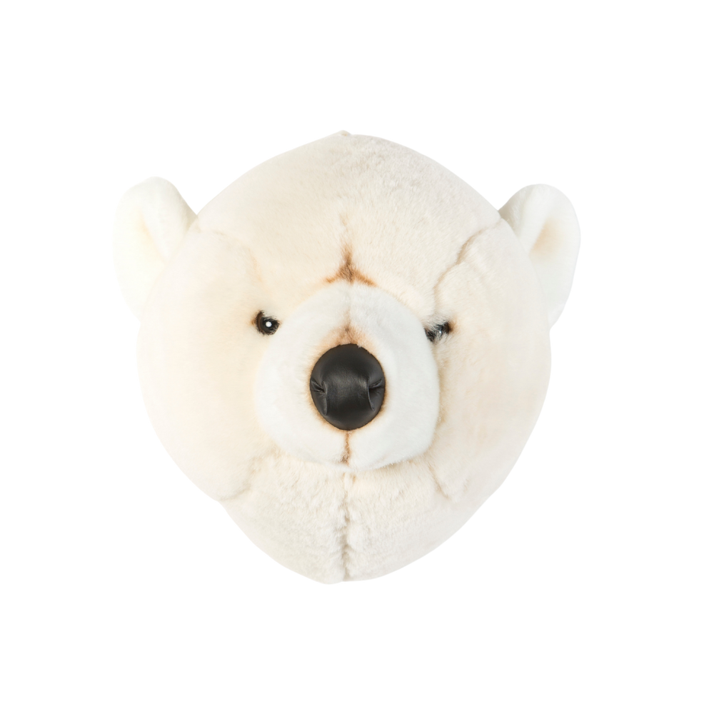 Basile the polar bear