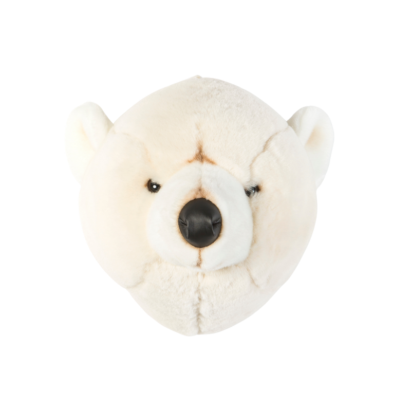 Basile the polar bear