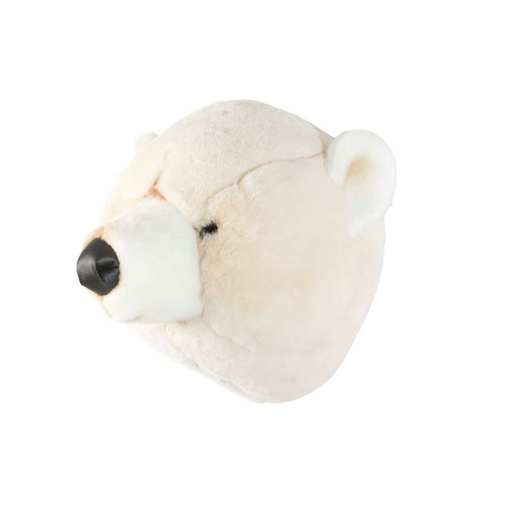 Basile the polar bear