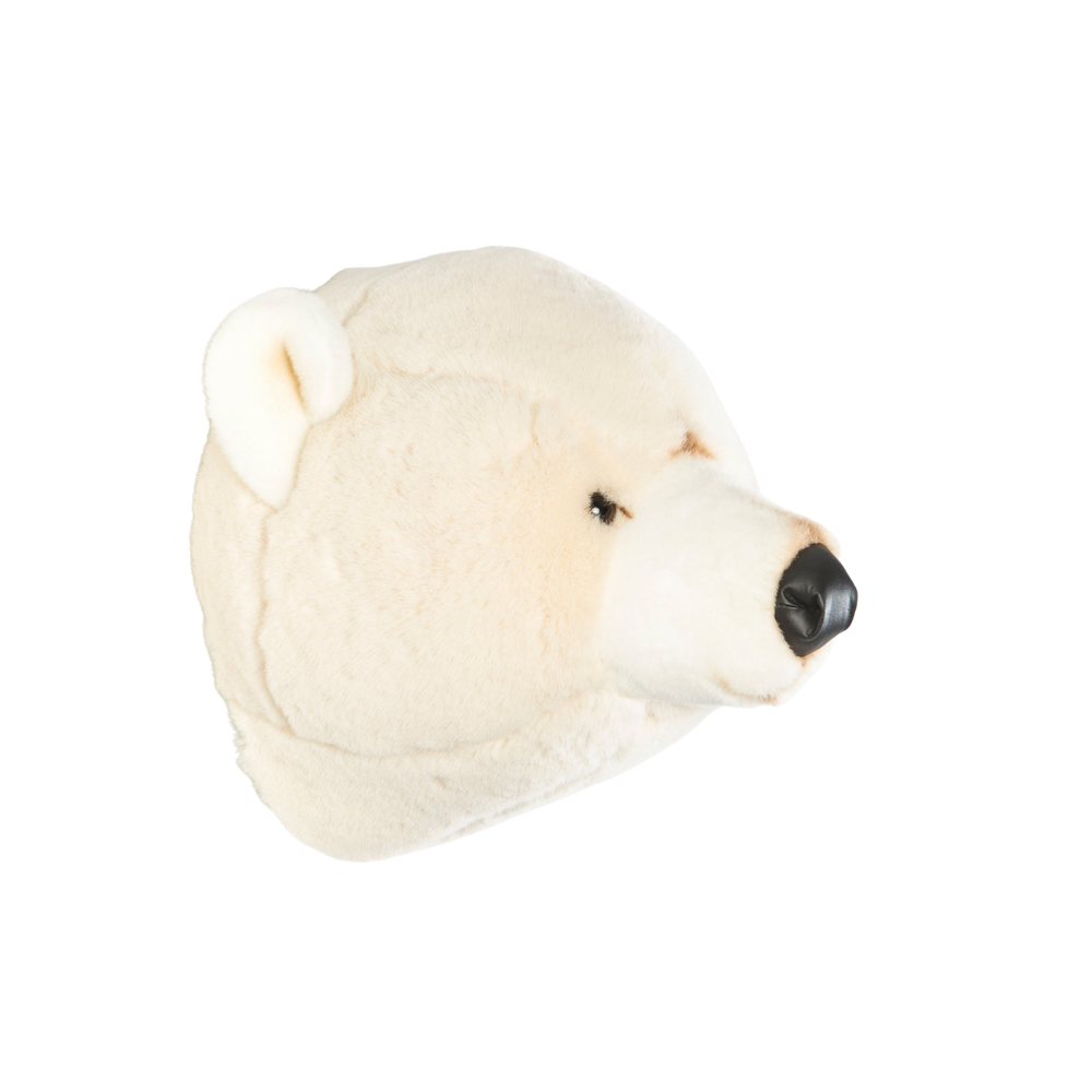 Basile the polar bear