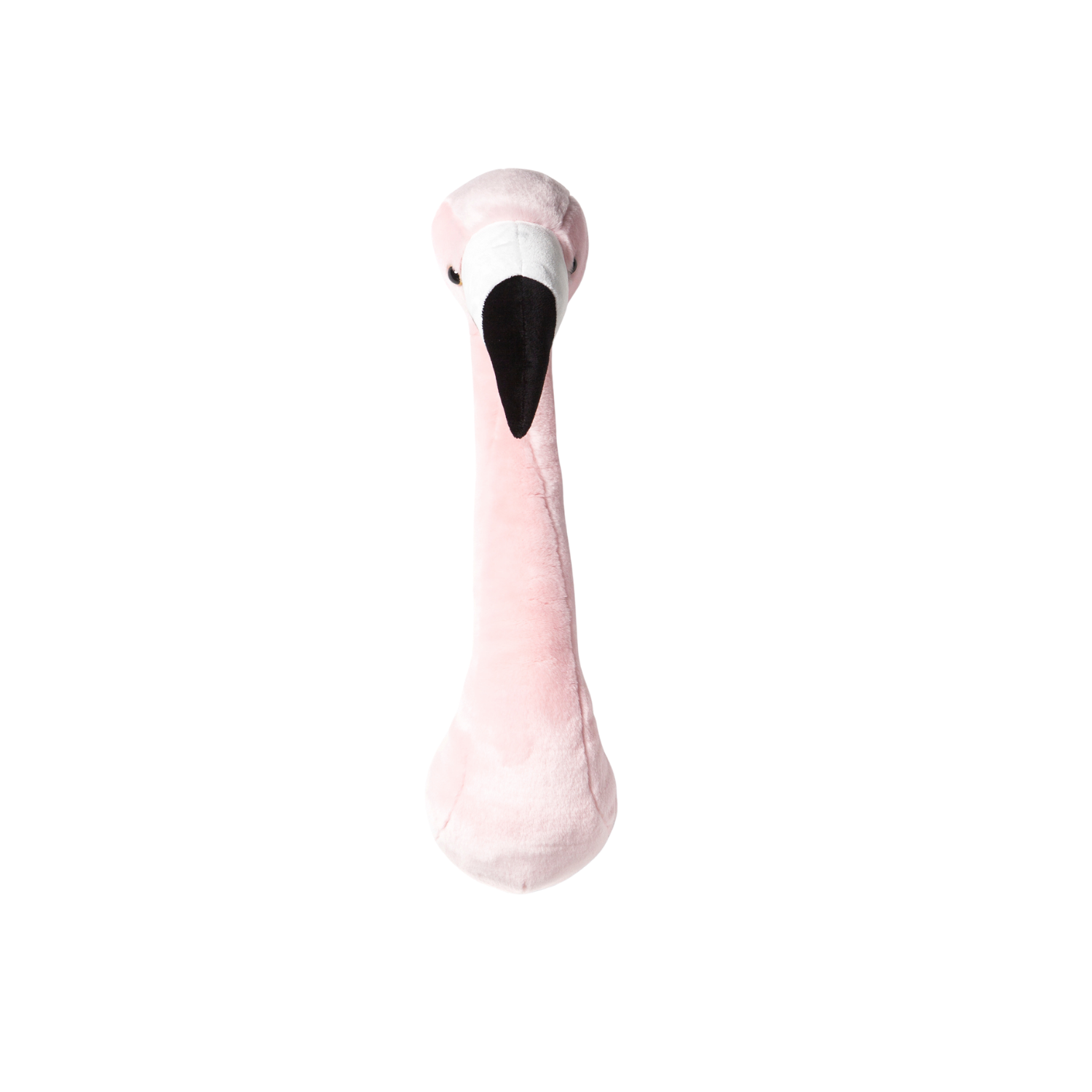 Sophia the Flamingo