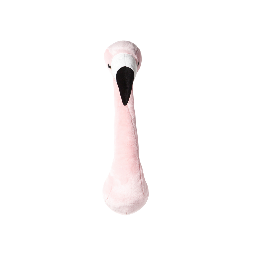 Sophia the Flamingo