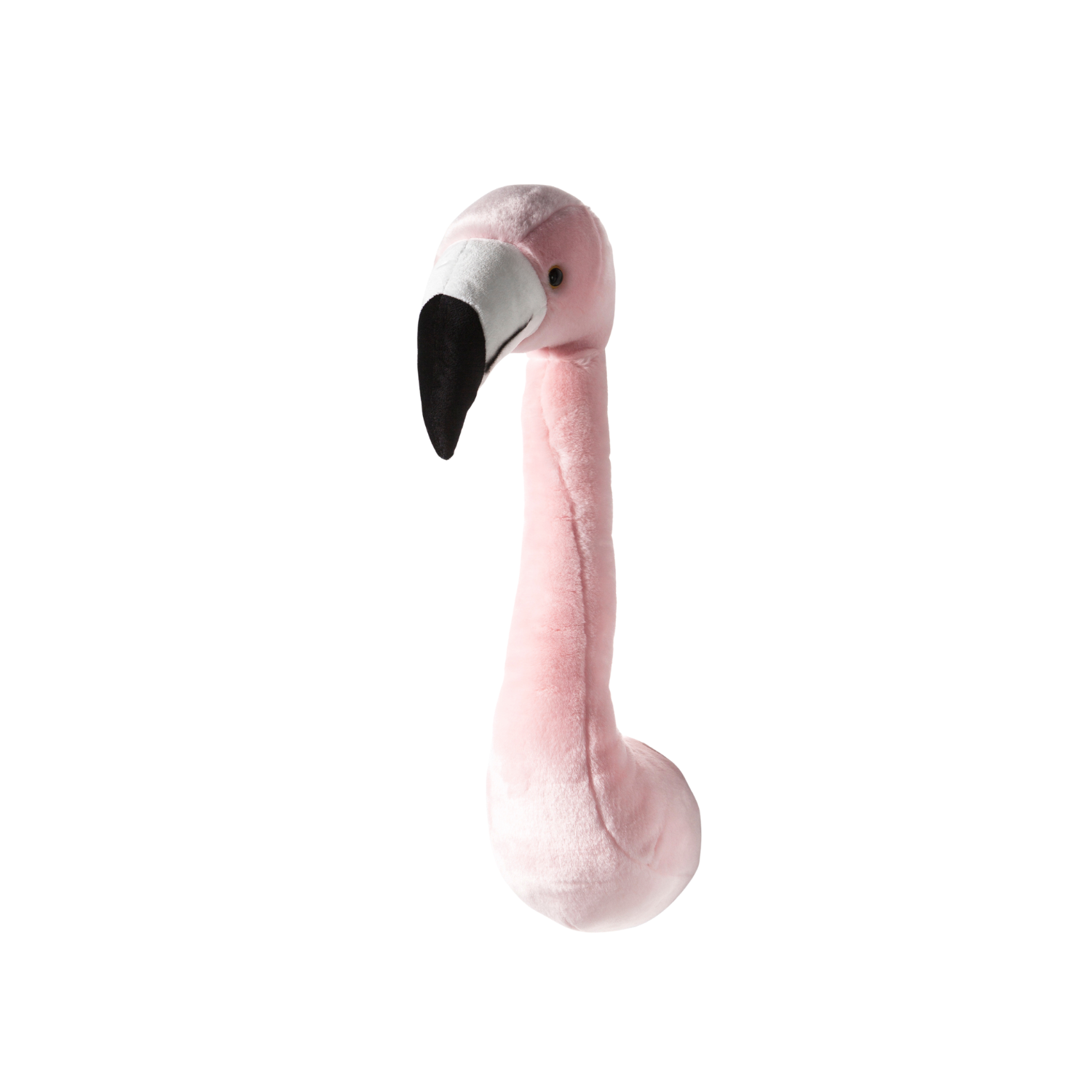 Sophia the Flamingo