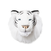 Albert the white tiger