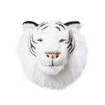 Albert the white tiger