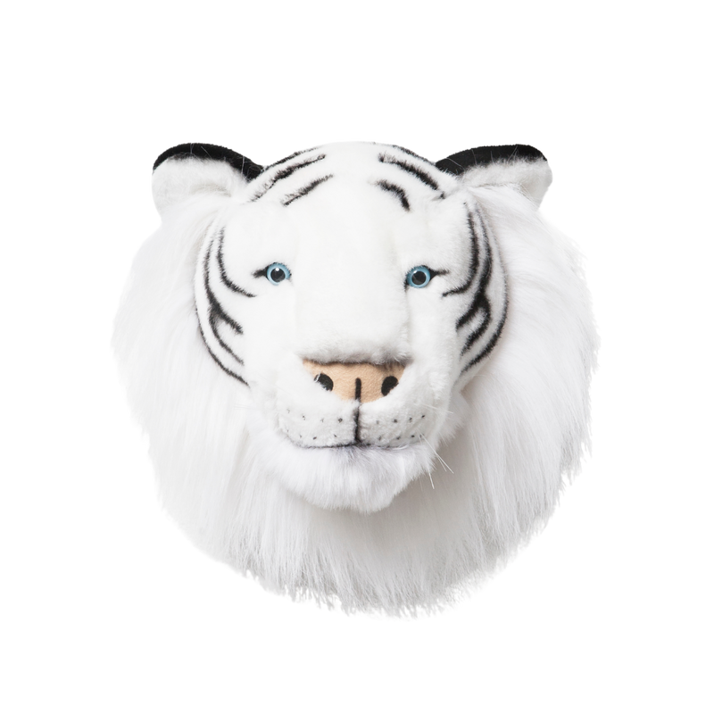 Albert the white tiger