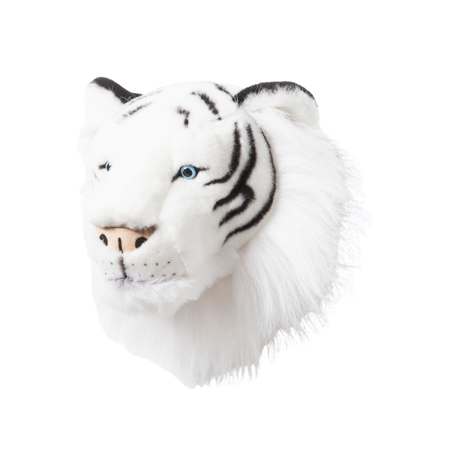 Albert the white tiger