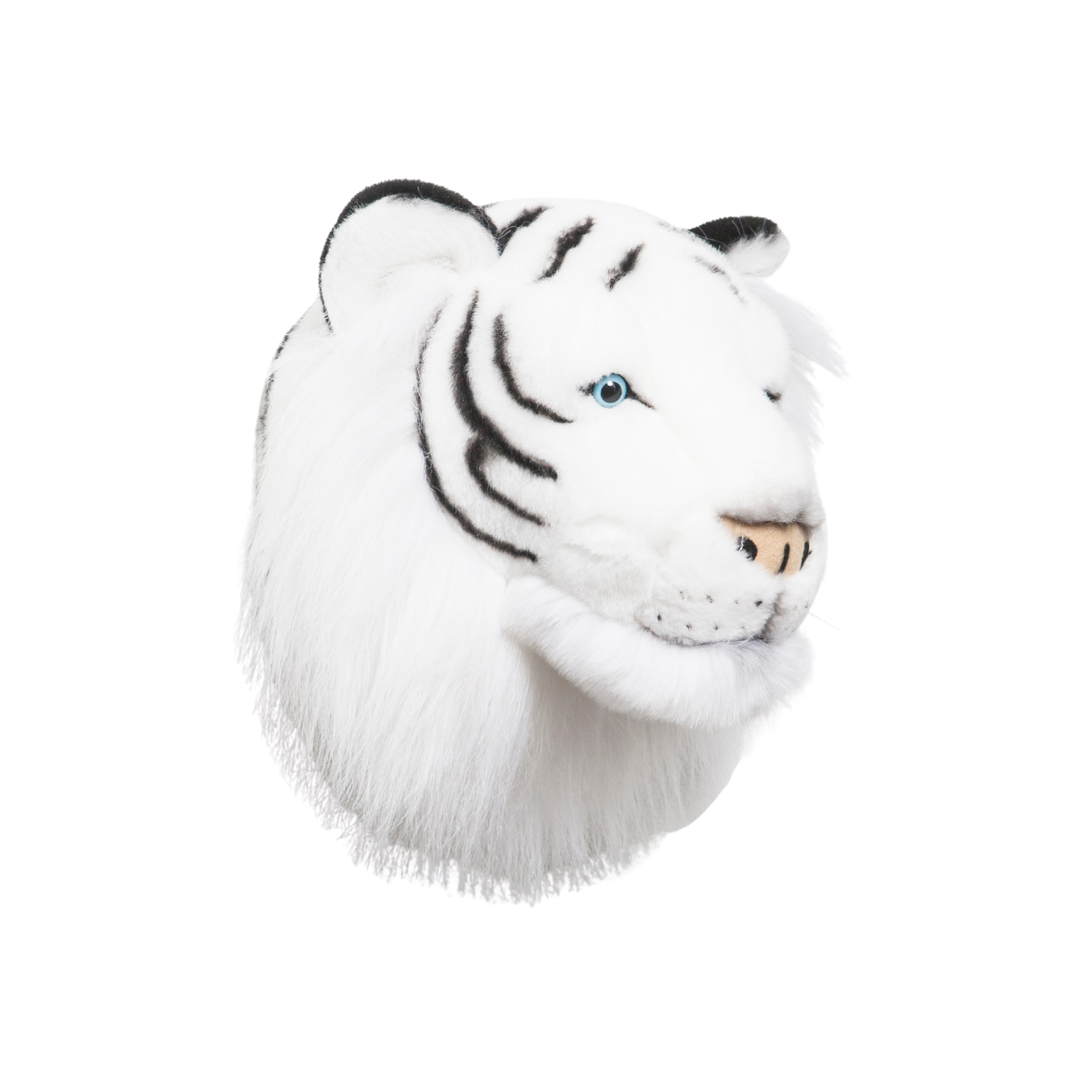 Albert the white tiger