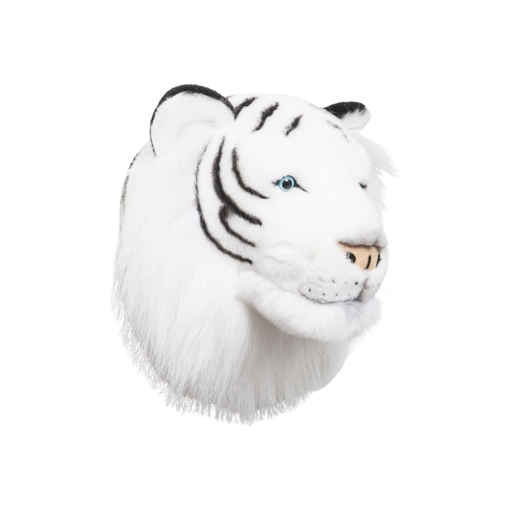 Albert the white tiger