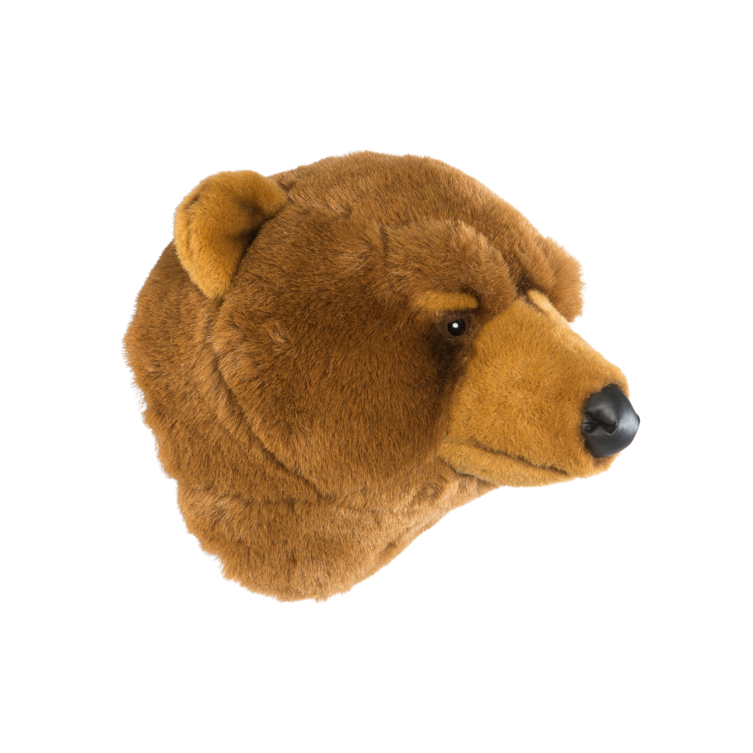 Oliver the brown bear