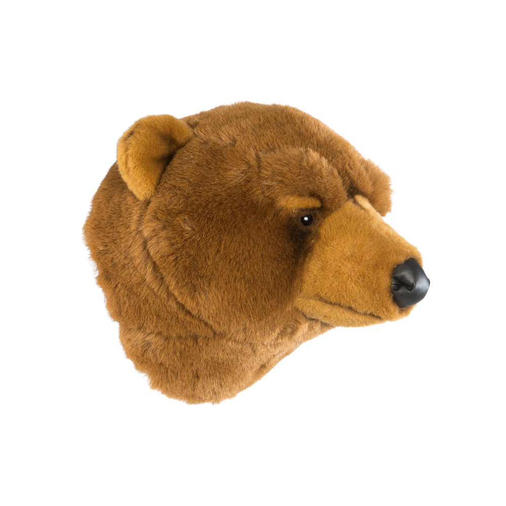 Oliver the brown bear