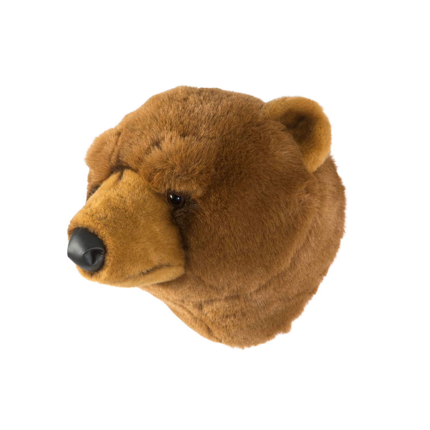 Oliver the brown bear