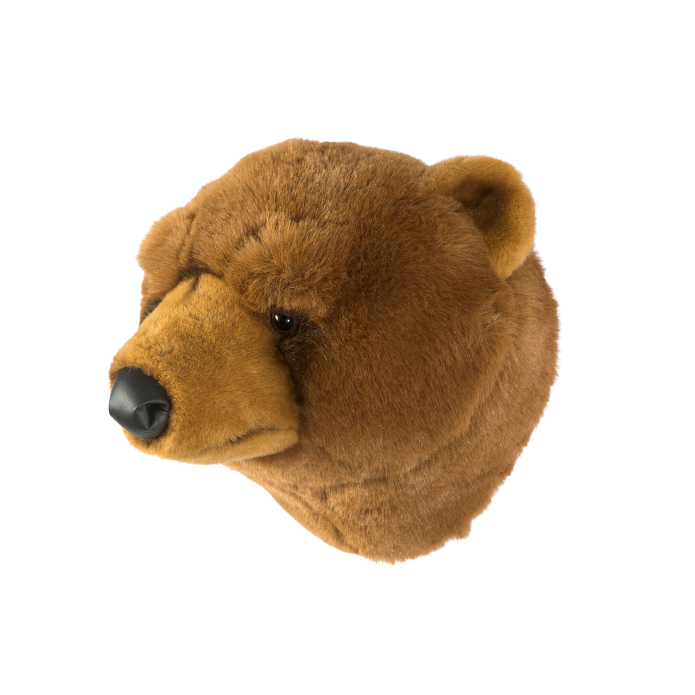 Oliver the brown bear