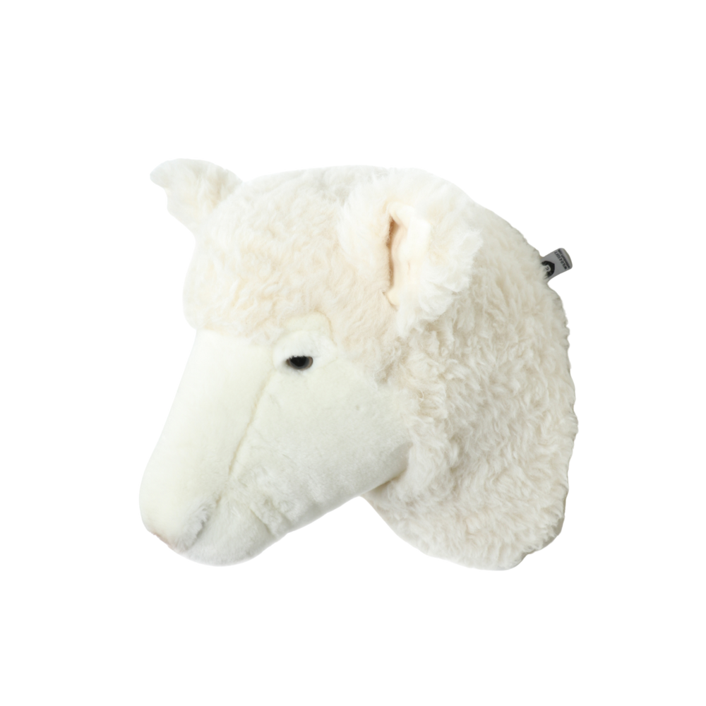 Harry the sheep