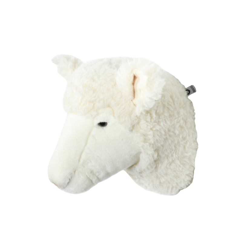 Harry the sheep