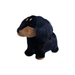 Soft Bouncy Sausage Dog