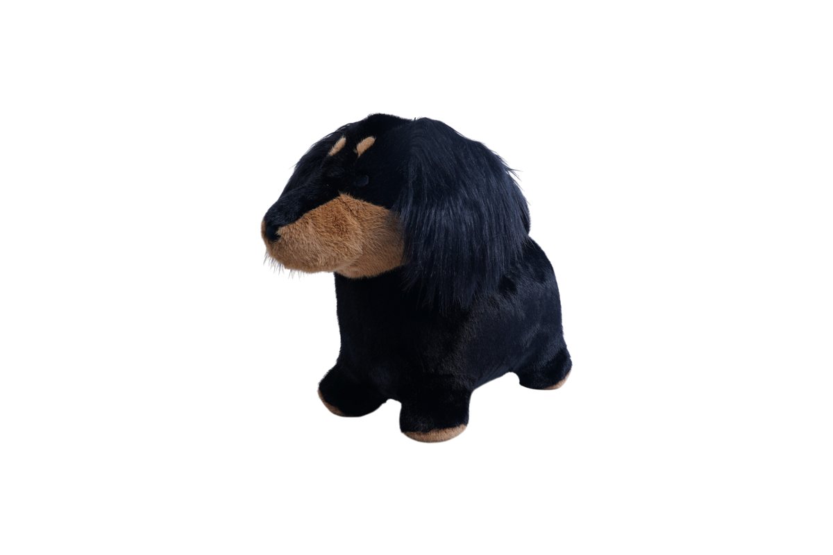 Soft Bouncy Sausage Dog