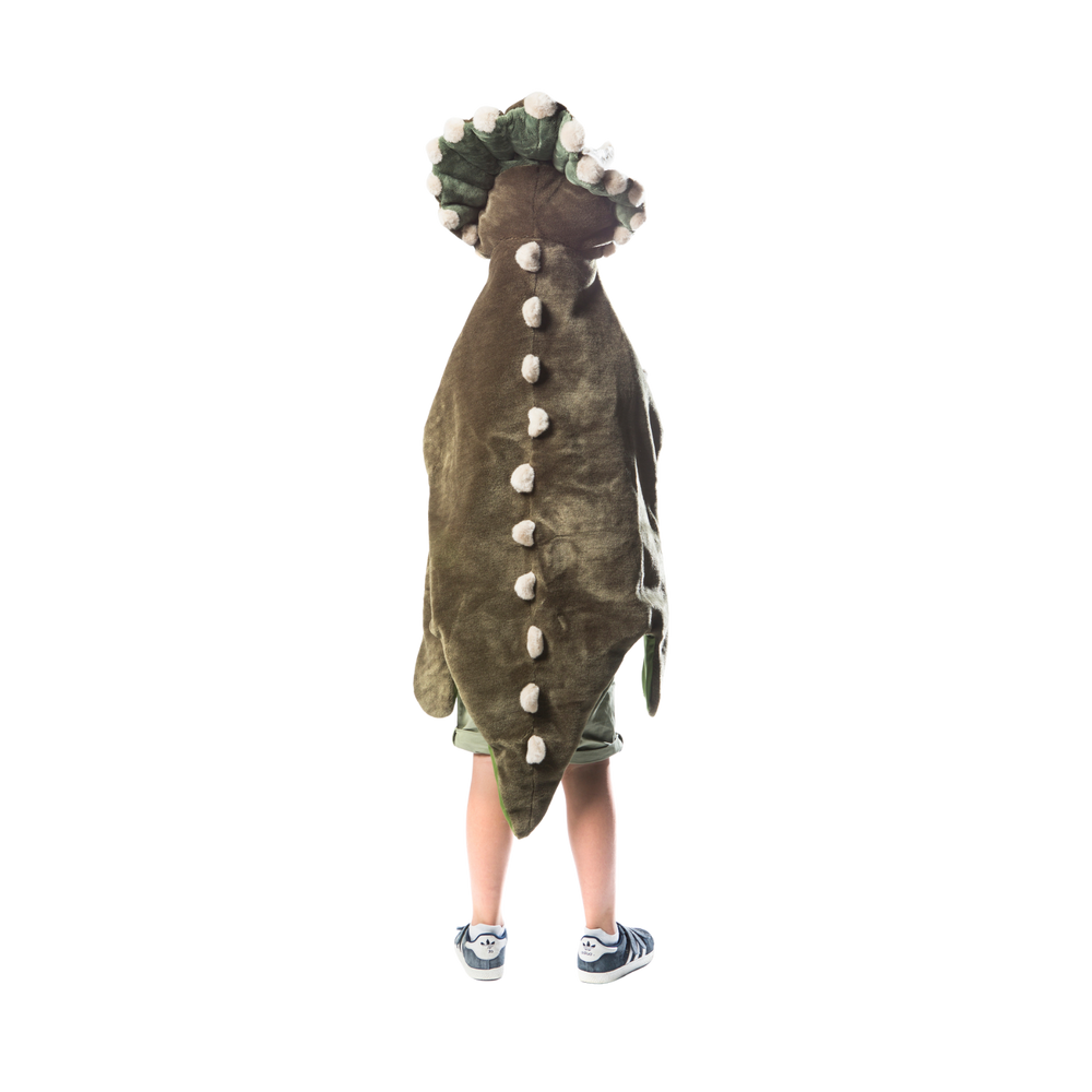 Dinosaure Costume