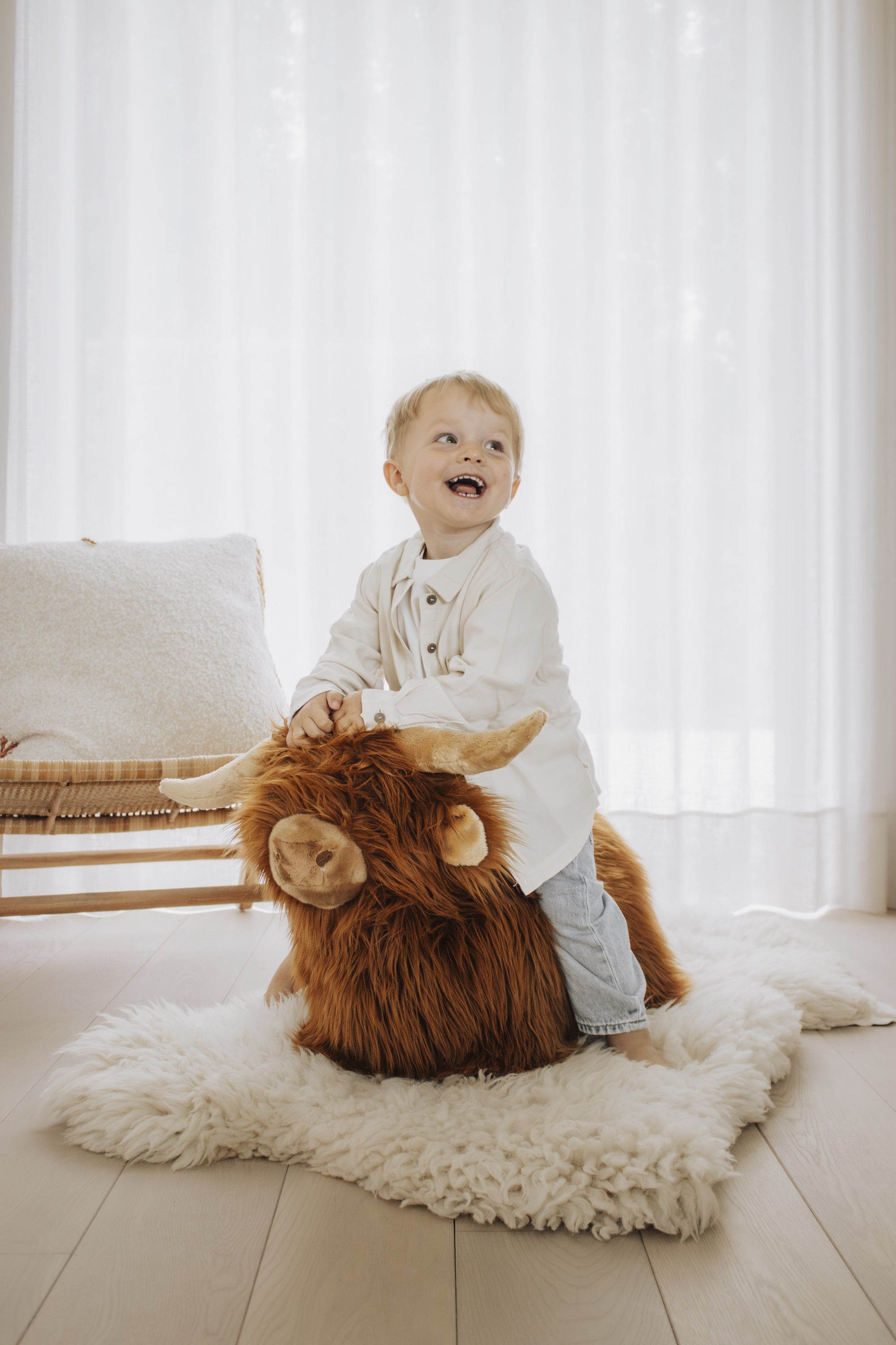 Zachte, stuiterende Highland Cow