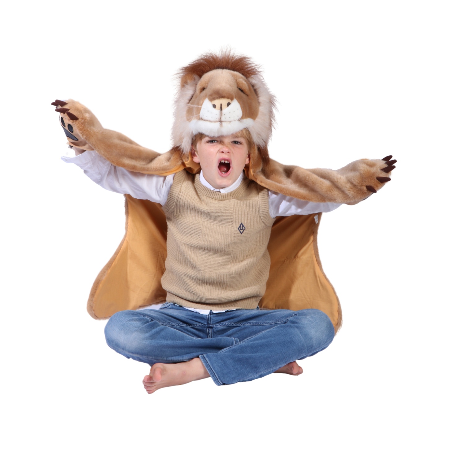 Lion Costume