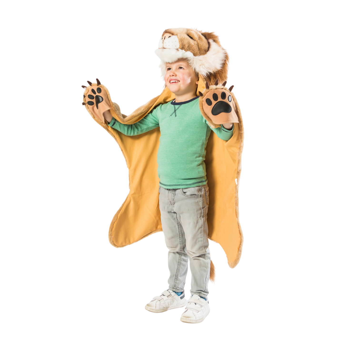 Lion Costume