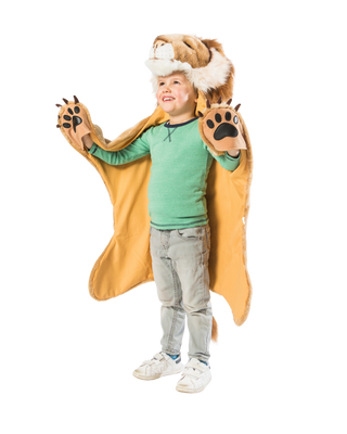 Lion Costume