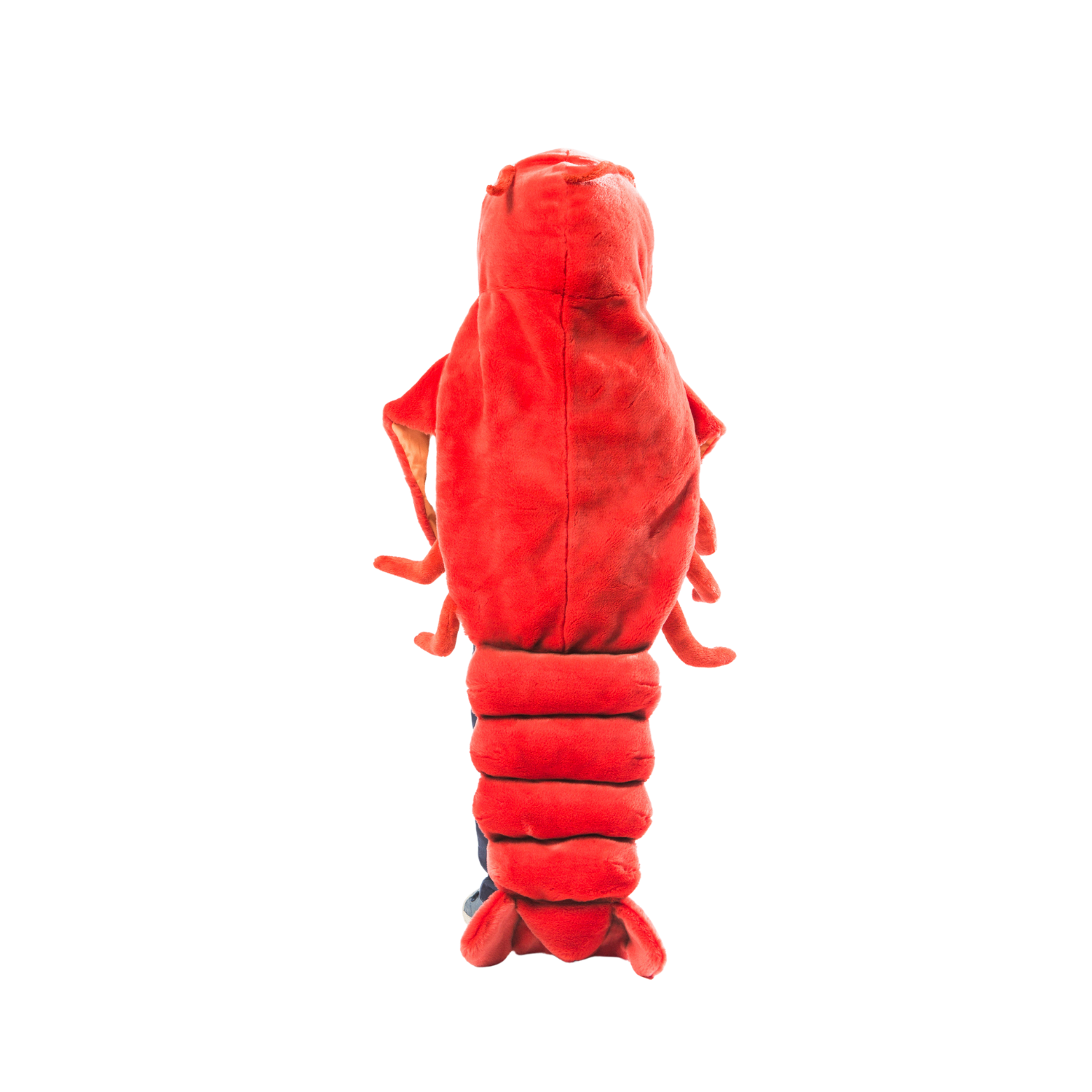Lobster Costume