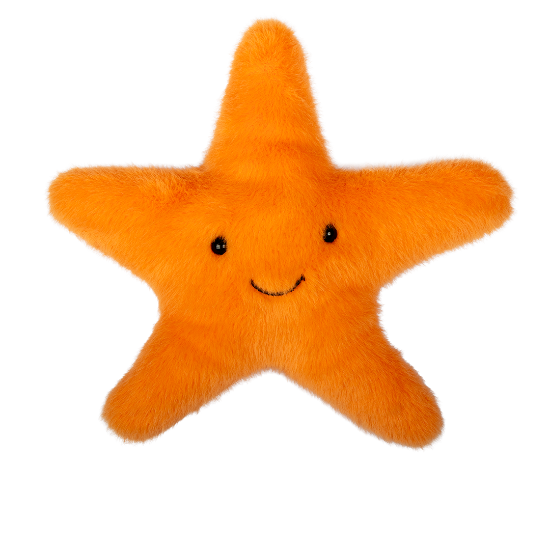 Beach Friends Starfish