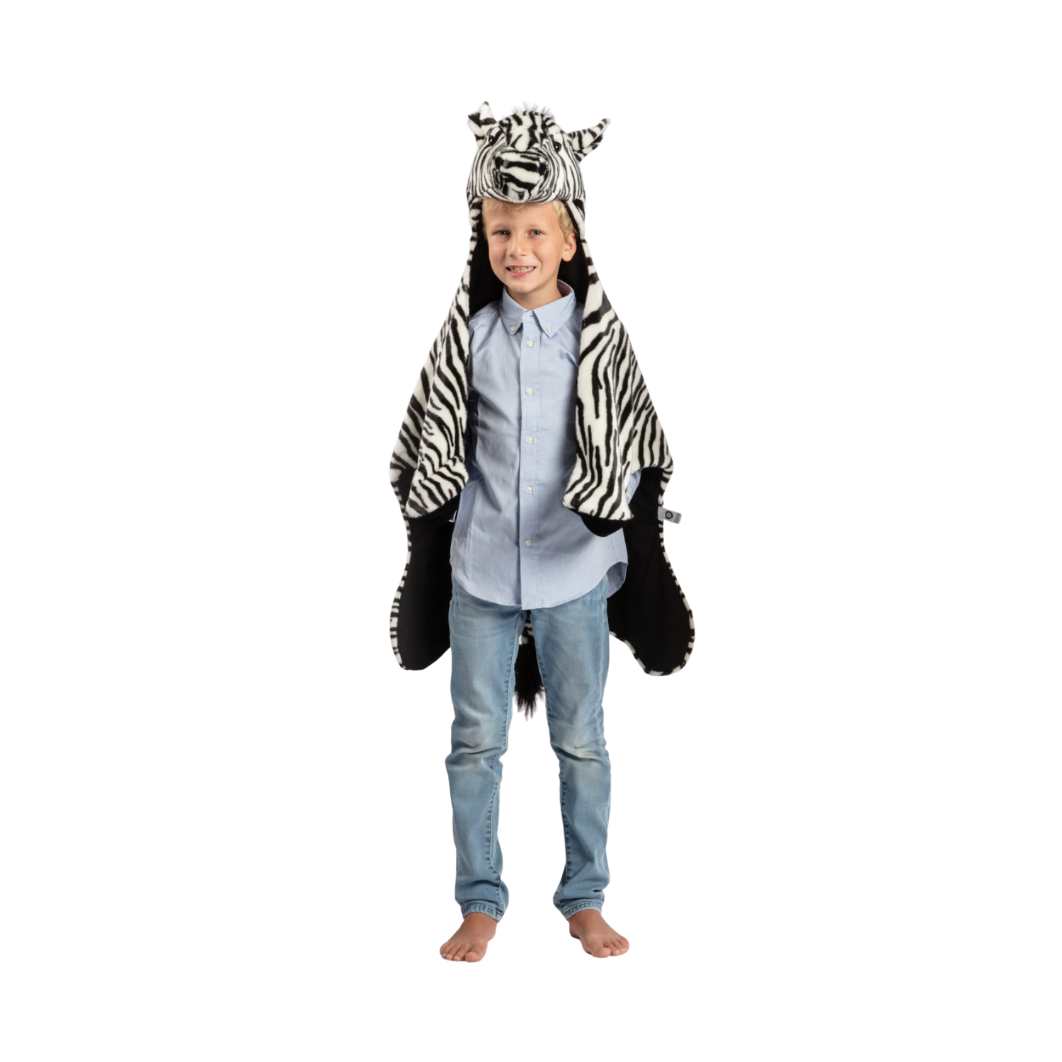 Cape Zebra