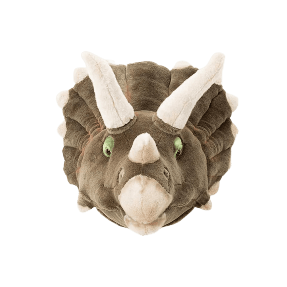 Adam the triceratops