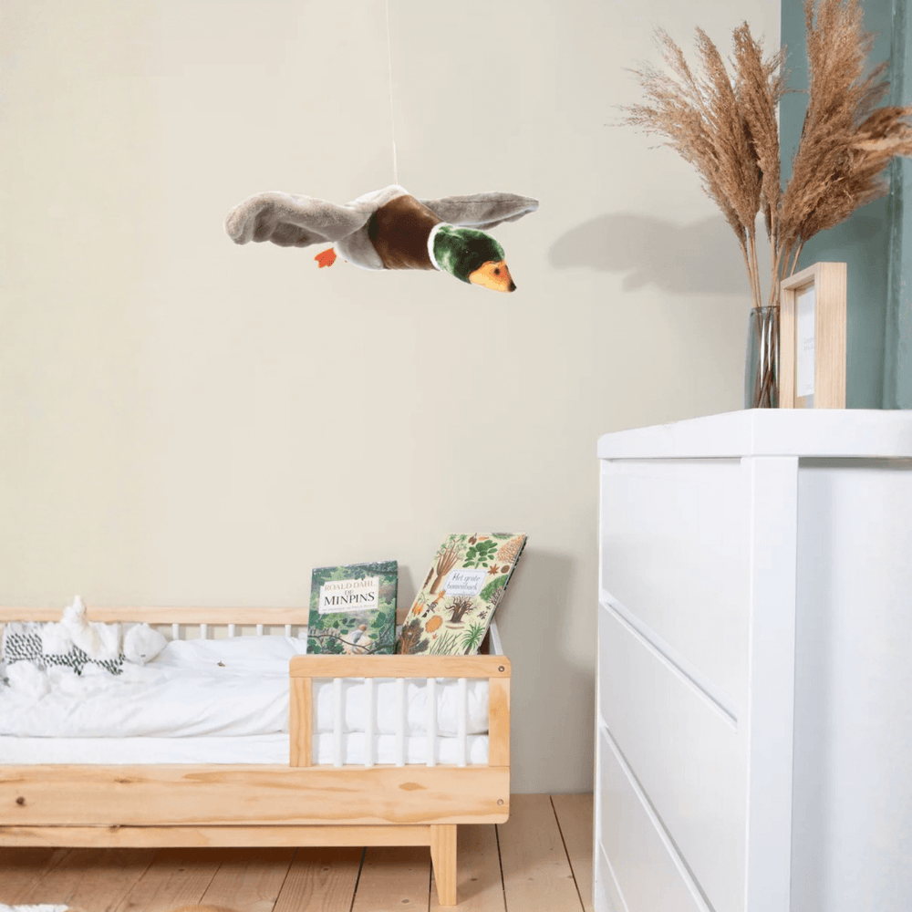 Alain the flying duck