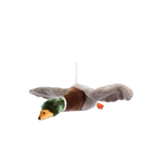 Alain the flying duck