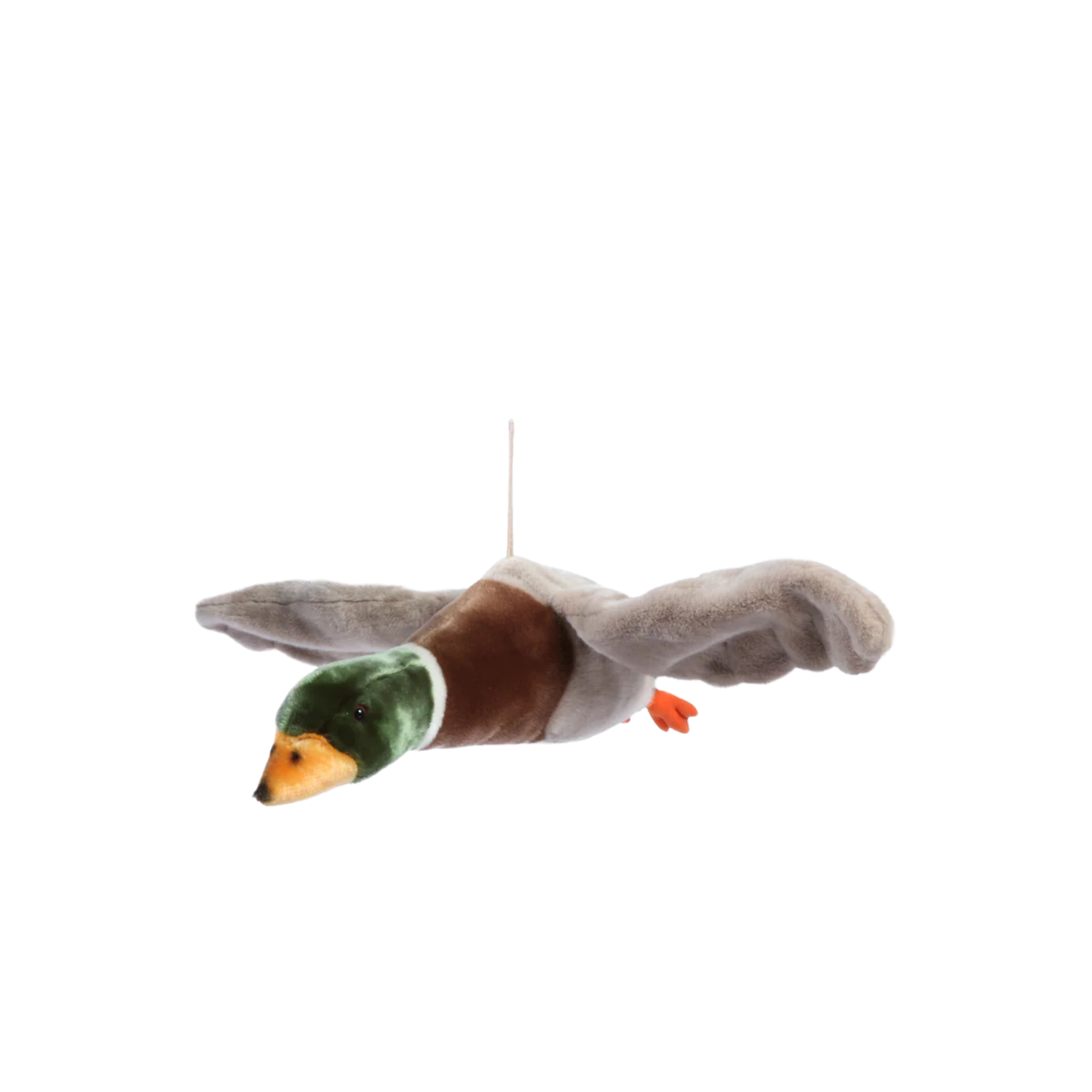 Alain the flying duck