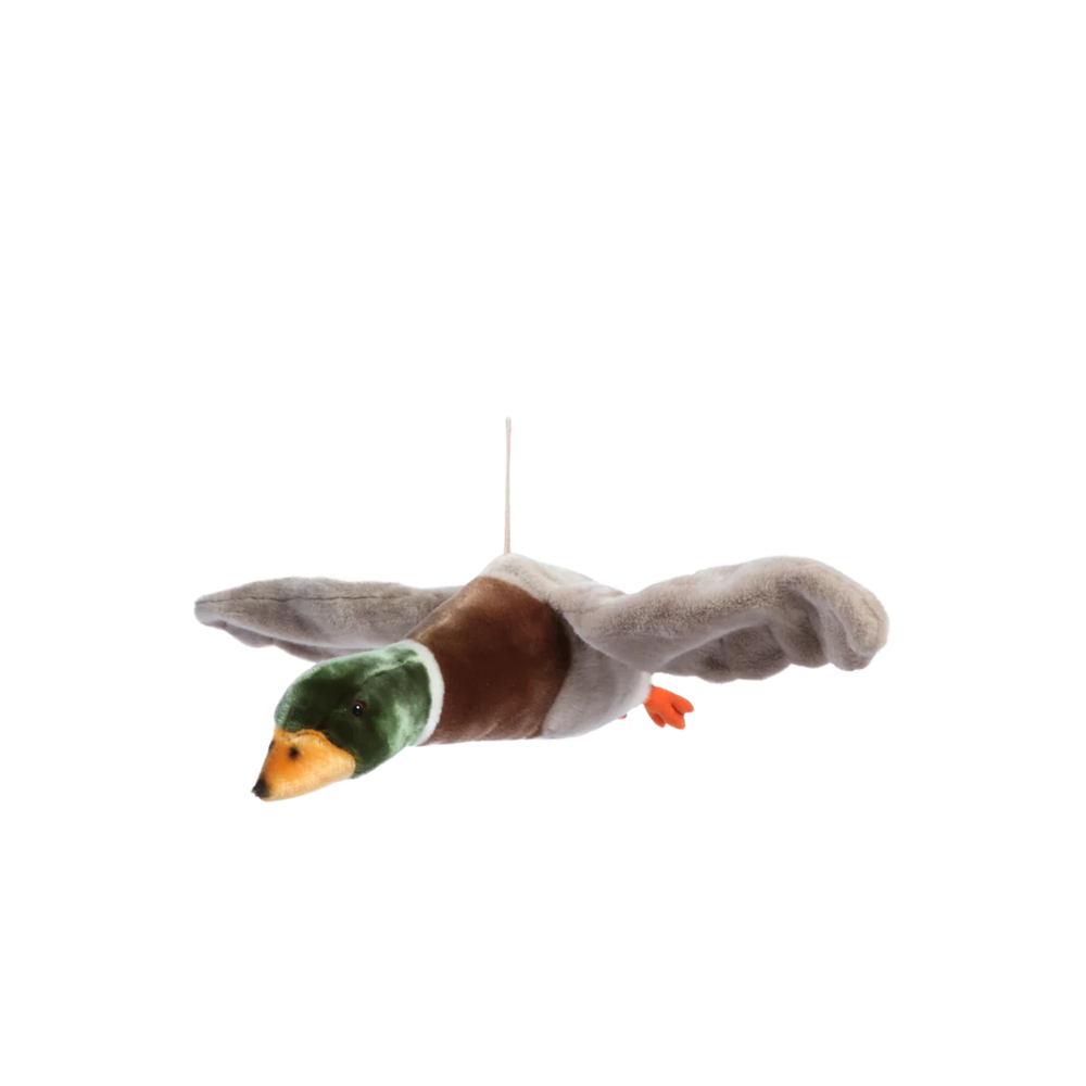 Alain the flying duck