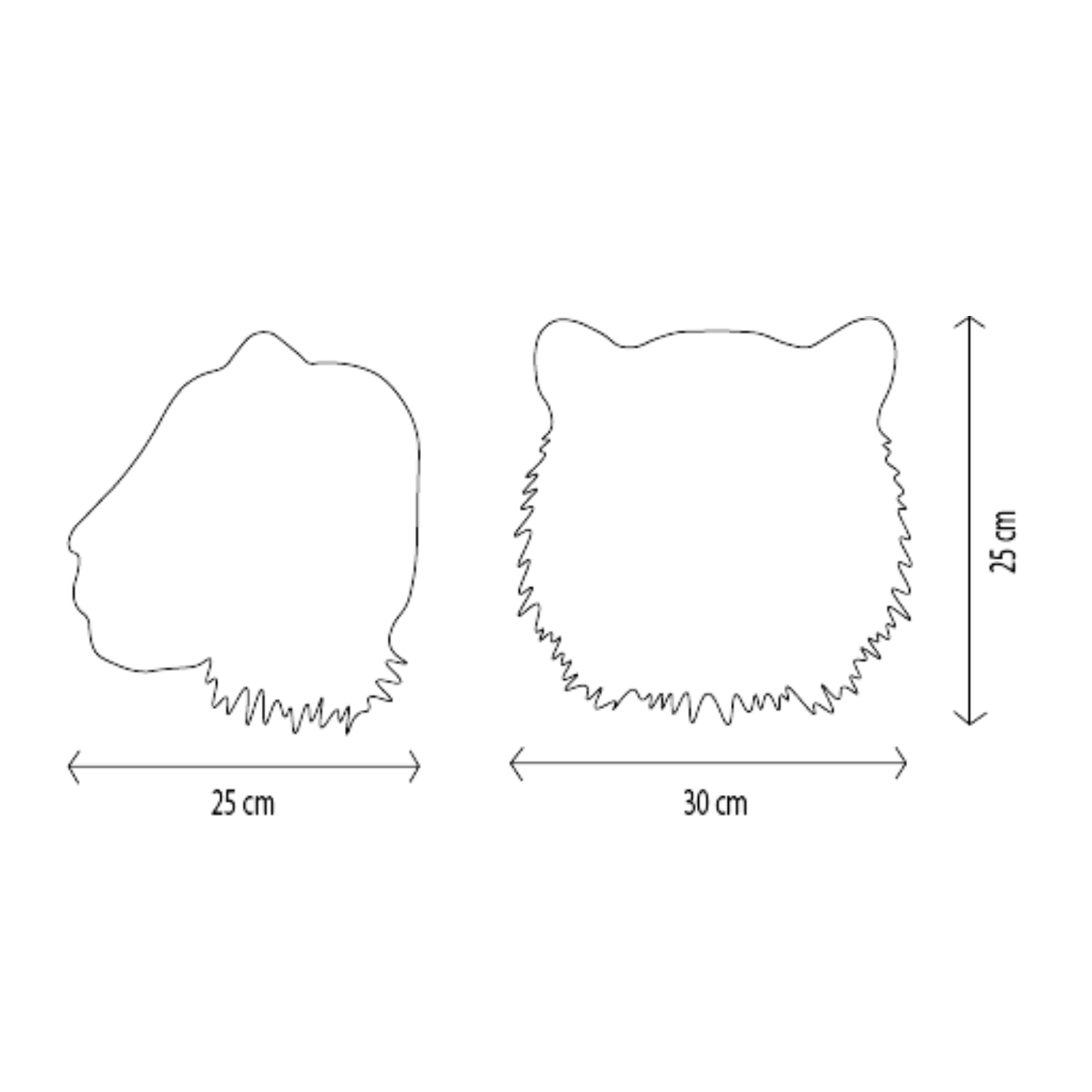 Albert the white tiger