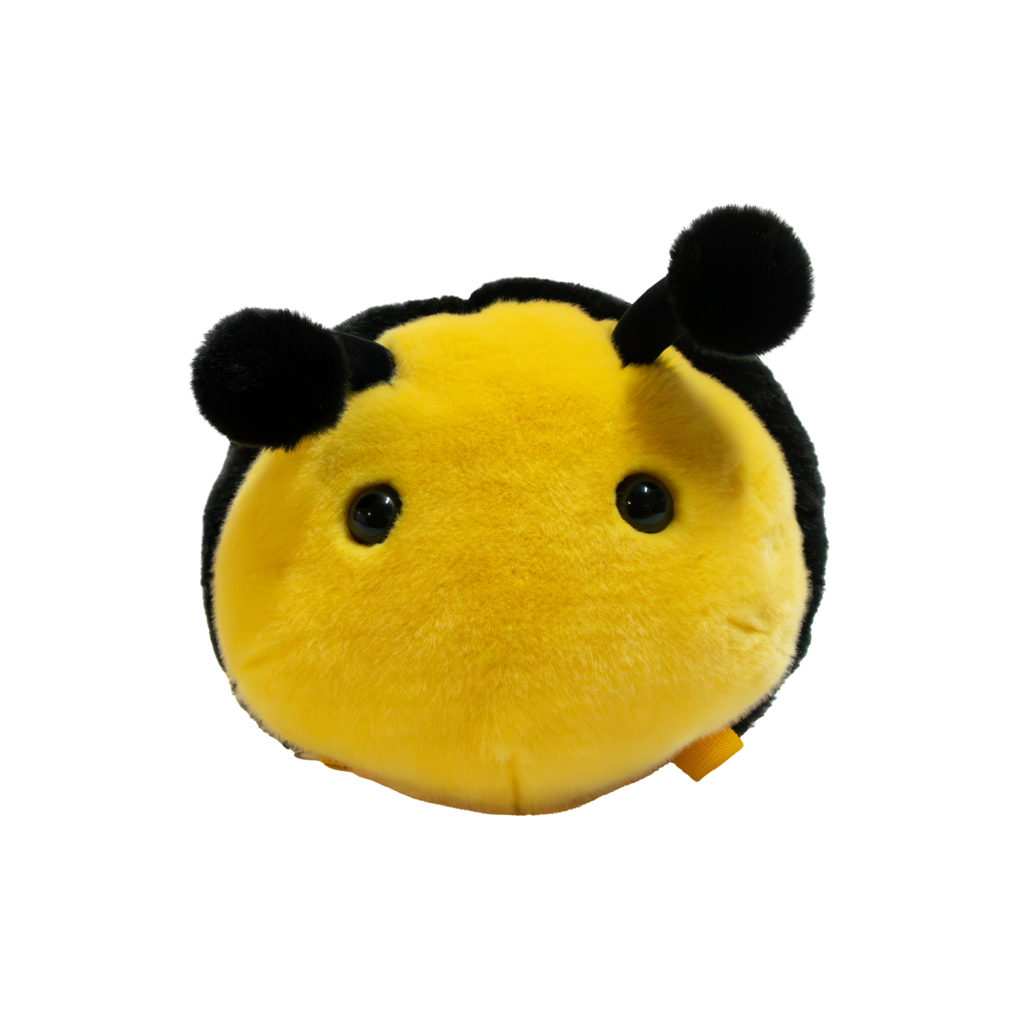 Backpack Bee