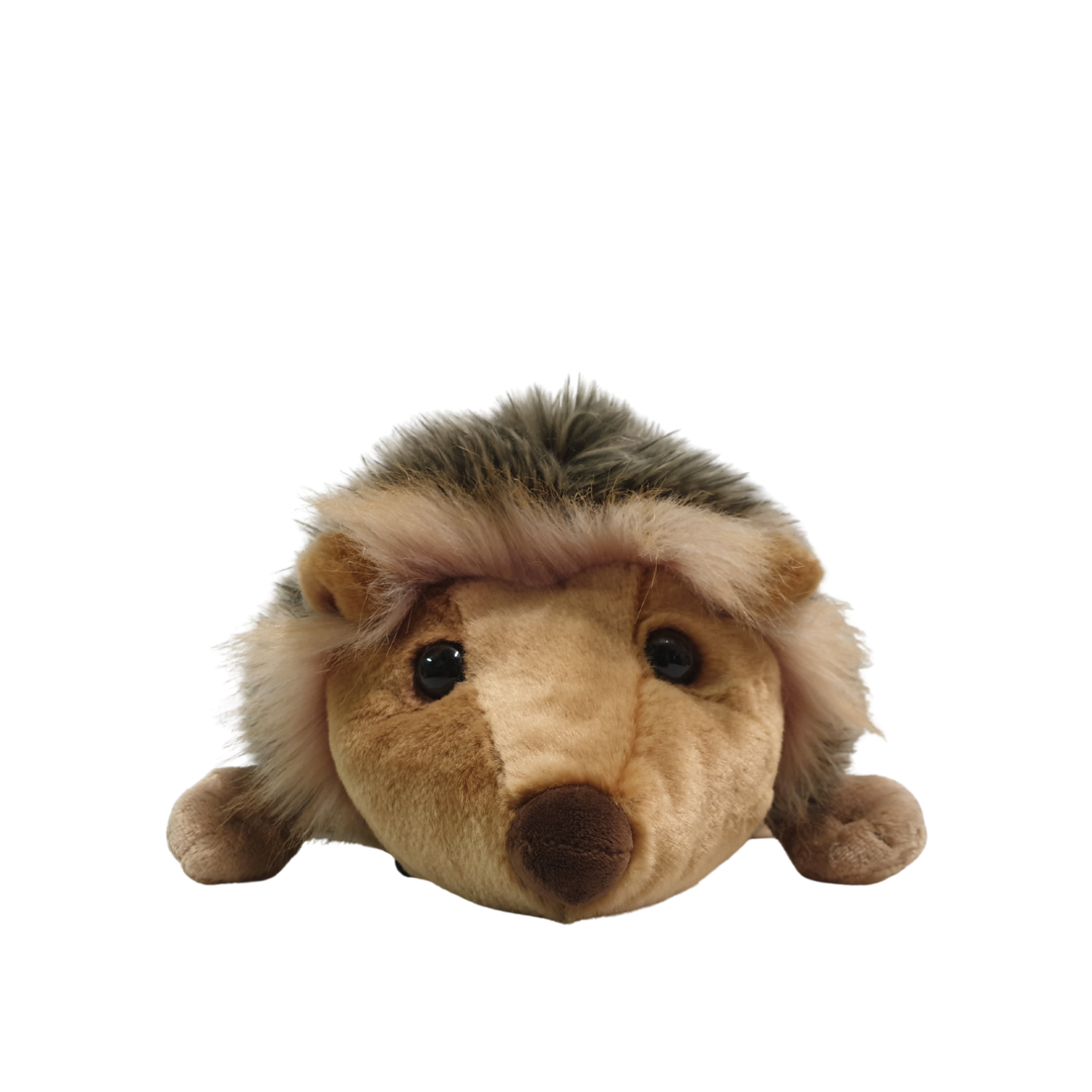 Backpack Hedgehog