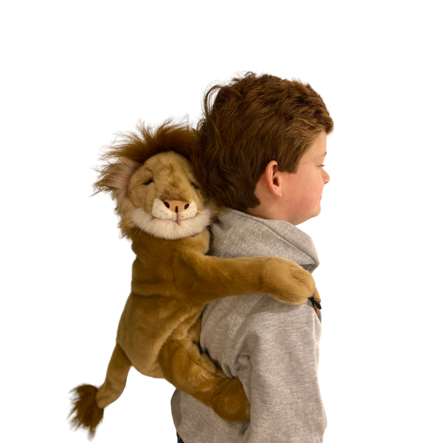 Backpack Lion