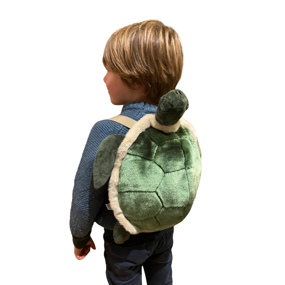 Backpack Turtle