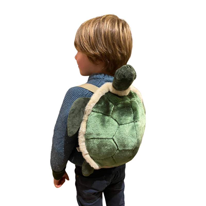 Backpack Turtle