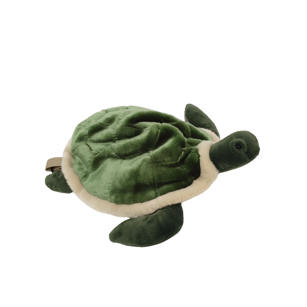 Backpack Turtle