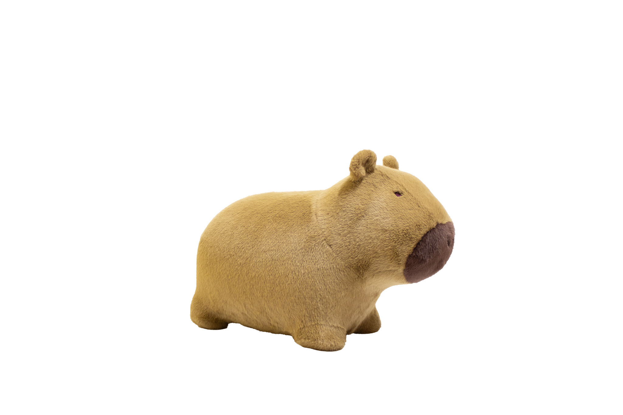 Zachte, stuiterende capibara