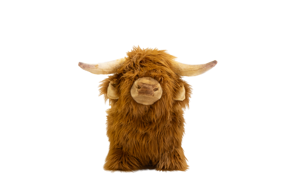 Soft Bouncy Highland Cow