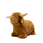 Vache des Highlands douce et rebondissante