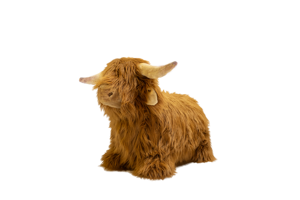 Soft Bouncy Highland Cow