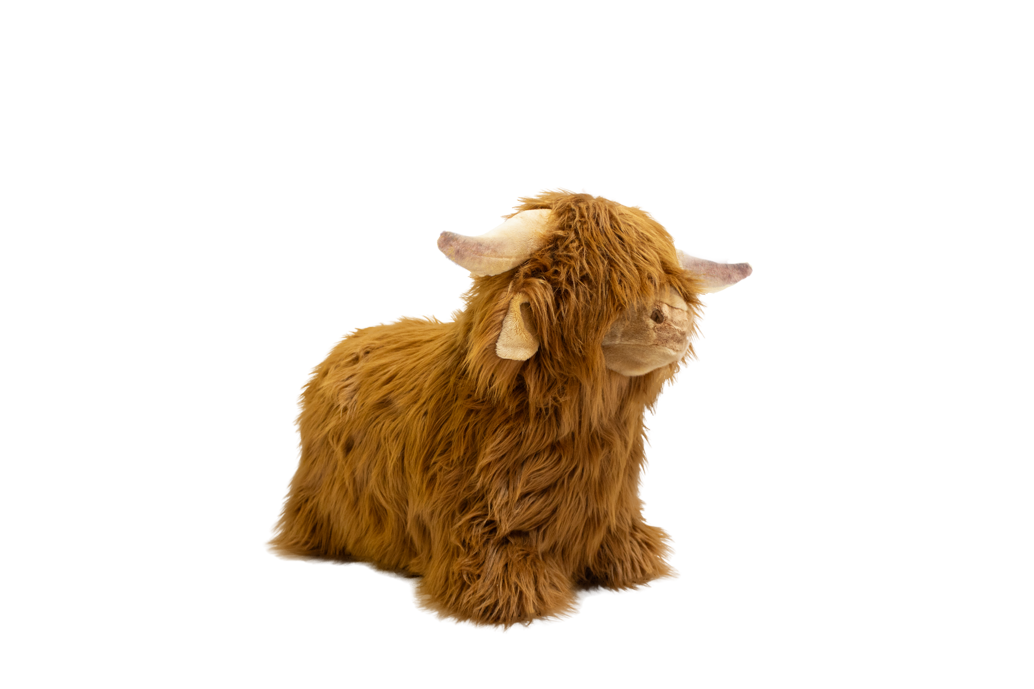 Zachte, stuiterende Highland Cow