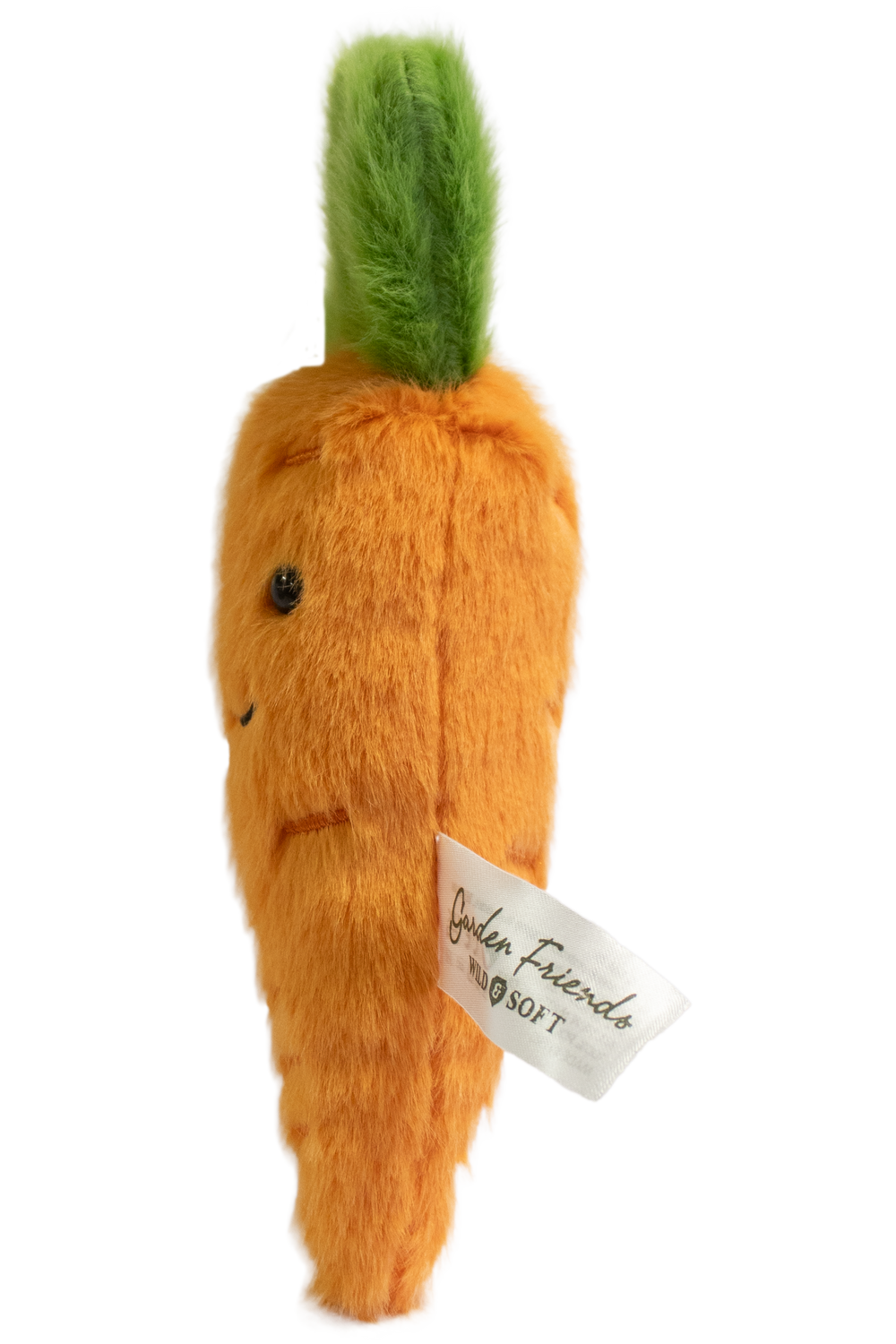 Garden Friends Carrot